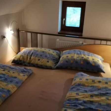 Apartman Damiko Leilighet Chřibská Eksteriør bilde