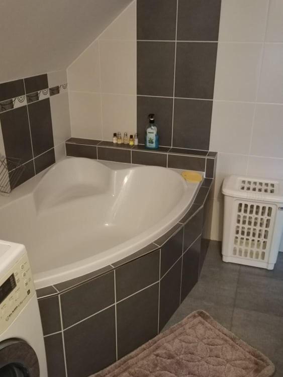 Apartman Damiko Leilighet Chřibská Eksteriør bilde