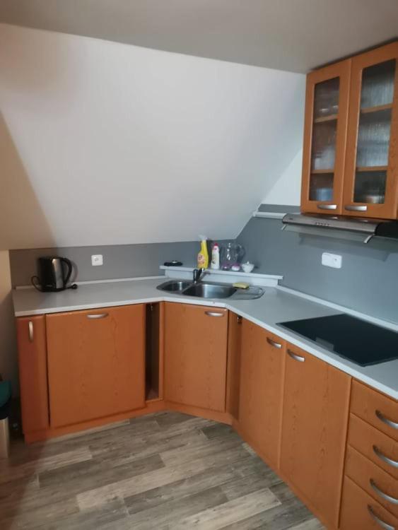 Apartman Damiko Leilighet Chřibská Eksteriør bilde