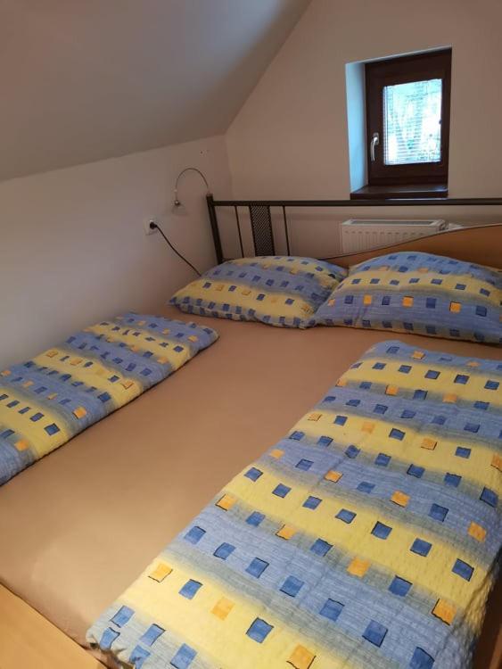 Apartman Damiko Leilighet Chřibská Eksteriør bilde