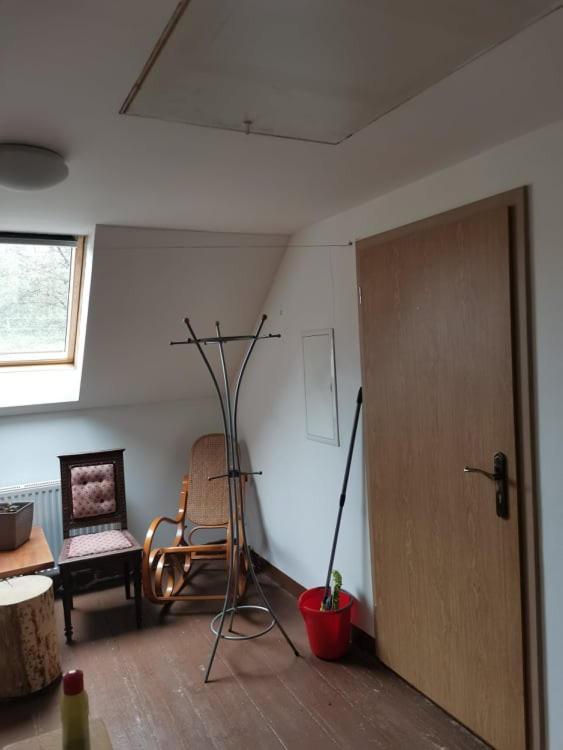 Apartman Damiko Leilighet Chřibská Eksteriør bilde
